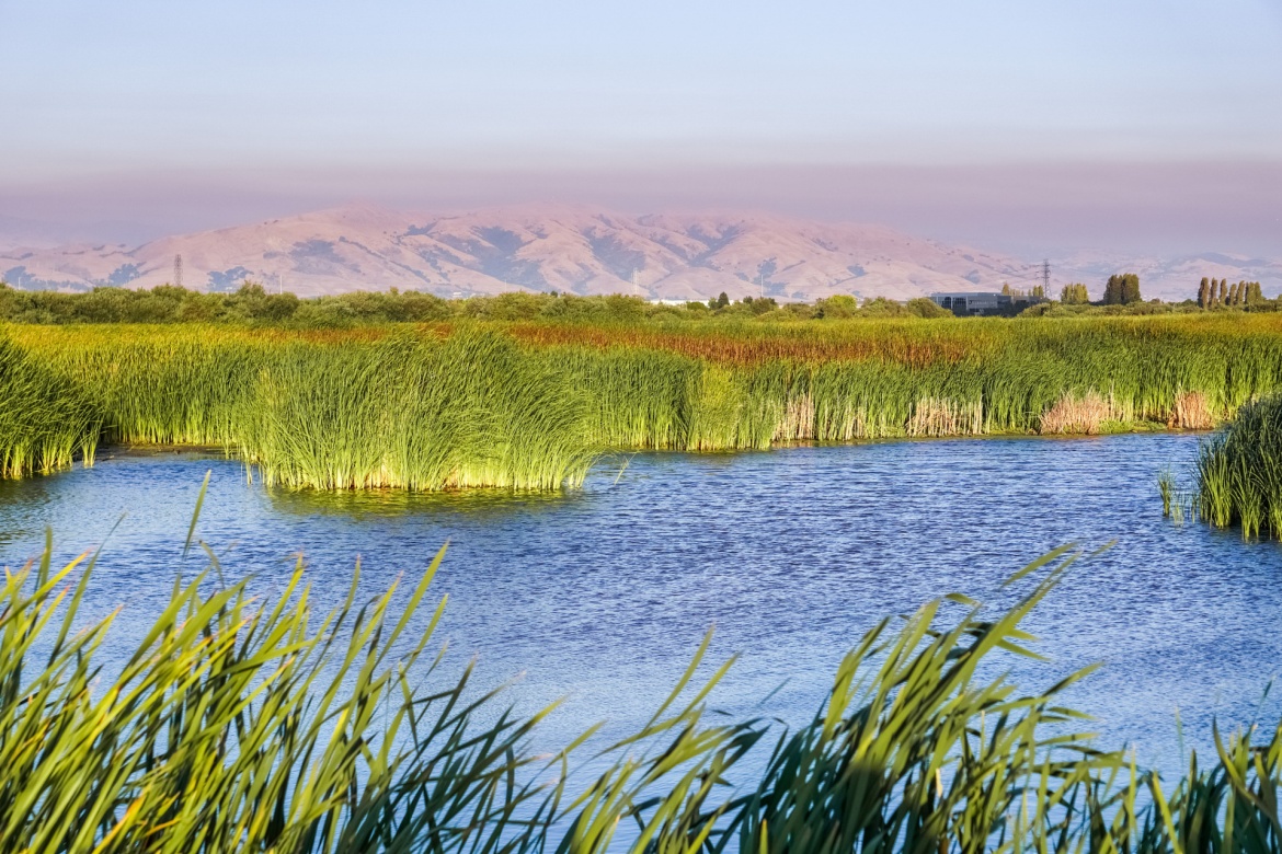 Zhangye National Wetland Park